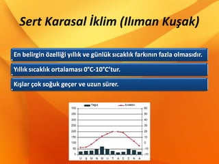 Sert Karasal İklim (Ilıman Kuşak)
 