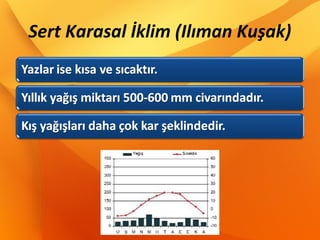 Sert Karasal İklim (Ilıman Kuşak)
 