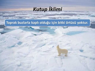 Kutup İklimi
 