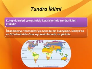 Tundra İklimi
 