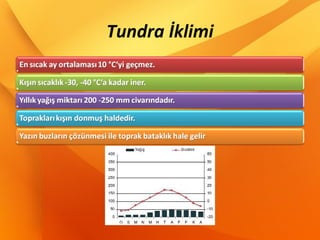 Tundra İklimi
 