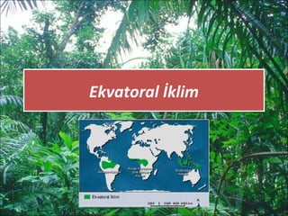 Ekvatoral İklimEkvatoral İklim
 