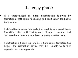 Latency phase
• It is characterised by initial inflammation followed by
formation of soft callus, hard callus and calcification leading to
bony union.
• If distraction is begun too early, the result is decreased bone
formation, often with cartilaginous elements present and
decreased mechanical strength of the newly created bone.
• If distraction is begun too long(i.e, if hard callus formation has
begun) the distraction device may be unable to further
separate the bone segments.
 