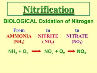 Nitrification O2 do-and-bod-analysis.ppt