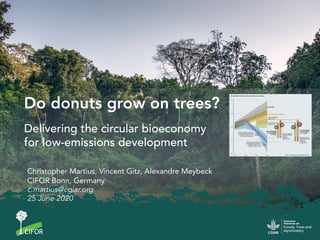 Christopher Martius, Vincent Gitz, Alexandre Meybeck
CIFOR Bonn, Germany
c.martius@cgiar.org
25 June 2020
Do donuts grow on trees?
Delivering the circular bioeconomy
for low-emissions development
 