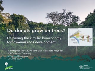 Christopher Martius, Vincent Gitz, Alexandre Meybeck
CIFOR Bonn, Germany
c.martius@cgiar.org
25 June 2020
Do donuts grow o...