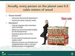 Do donuts grow on trees?: Delivering the circular bioeconomy for low-emissions development