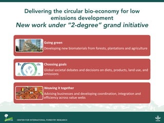 Do donuts grow on trees?: Delivering the circular bioeconomy for low-emissions development