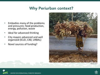Do donuts grow on trees?: Delivering the circular bioeconomy for low-emissions development