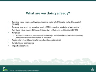 Do donuts grow on trees?: Delivering the circular bioeconomy for low-emissions development