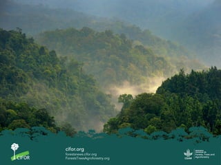 Do donuts grow on trees?: Delivering the circular bioeconomy for low-emissions development