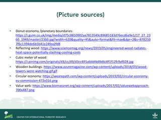 Do donuts grow on trees?: Delivering the circular bioeconomy for low-emissions development