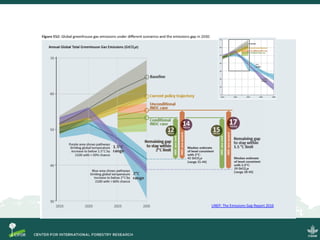 UNEP: The Emissions Gap Report 2016
 
