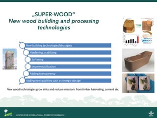 Do donuts grow on trees?: Delivering the circular bioeconomy for low-emissions development