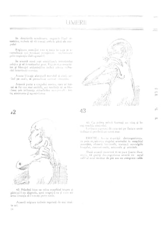 Do in-arta-masajului