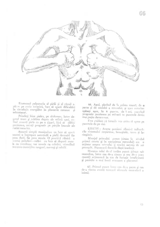 Do in-arta-masajului