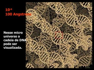 Nesse micro universo a cadeia de DNA pode ser visualizada.  10 -8 100 Angstrons 