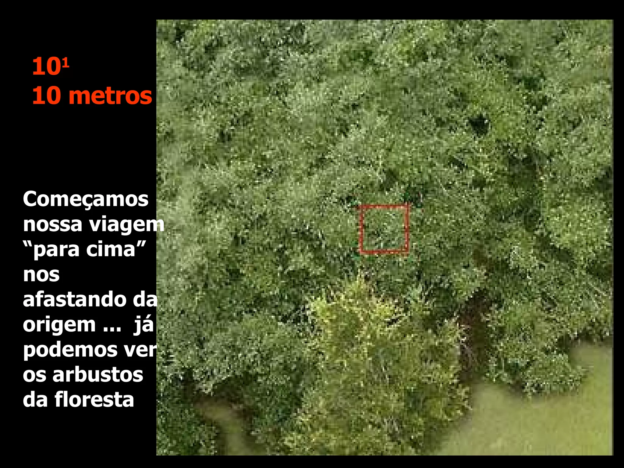 Começamos nossa viagem “para cima” nos afastando da origem ...  já podemos ver os arbustos da floresta 10 1   10 metros 