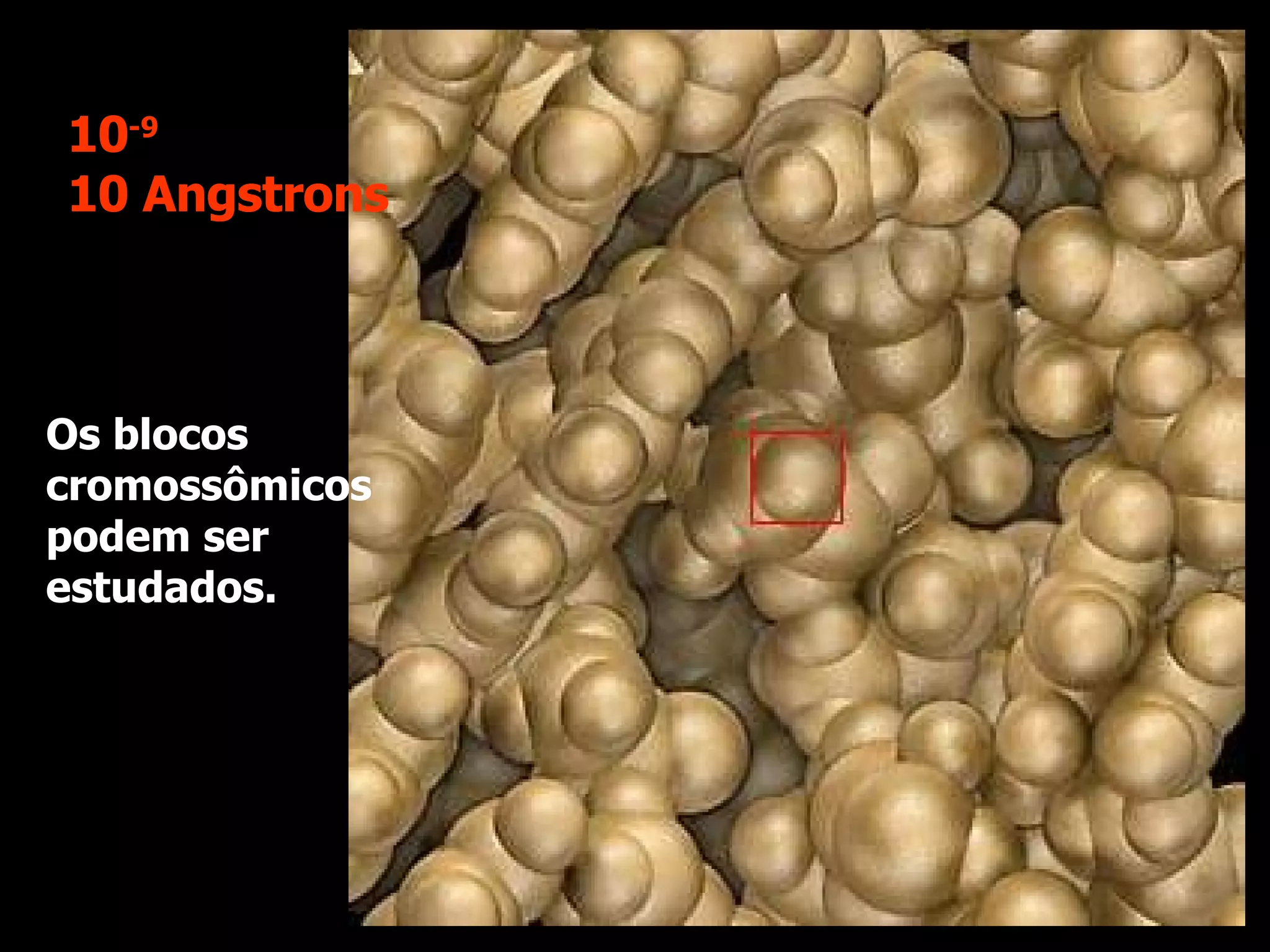 Os blocos cromossômicos podem ser estudados. 10 -9 10 Angstrons 