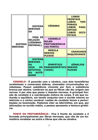 7
CÉREBRO
LOBOS
FRONTAIS
LOBOS TEM-
PORAIS
LOBOS PARI-
ENTAIS
LOBOS OCCI-
PITAIS
CEREBELO
BULBO
PROTUBERÂNCIA
(OU PONTE)
SISTEMA
NERVOSO
DA
VIDA DE
RELAÇÃO
(CÉREBRO-
ESPINHAL)
MEDULA
NERVOS
PLEXOS
CRANIANOS
RAQUIDIANOS
SISTEMA
NERVOSO
SISTEMA
NERVOSO
DA
VIDA VE-
GETATIVA
OU AUTÔ-
NOMO
SIMPÁTICO
PARASSIMPÁTICO
(VAGO)
GÂNGLIOS
NERVOS
PLEXOS
CEREBELO - É parecido com o cérebro, com dois hemisférios
cerebelosos e numerosas dobras, chamadas circunvoluções ce-
rebelosas. Possui substância cinzenta por fora e substância
branca por dentro. Lembram os que as fibras vão dar origem aos
nervos: é por elas que passa o impulso nervoso. A principal fun-
ção do cerebelo é a coordenação motora do corpo. É ele que co-
manda o equilíbrio, em tarefa conjunta com o ouvido interno ou
labirinto e o córtex cerebral. Lesões do cerebelo levam a pertur-
bações na locomoção. Podemos citar as labirintites, em que, por
alterações no ouvido médio, a pessoa apresenta a tontura girató-
ria.
PONTE OU PROTUBERÂNCIA - Fica à frente do cerebelo e é
formada principalmente por fibras nervosas, que vão de um he-
misfério cerebelar ao outro e fibras que vão ao cérebro.
 