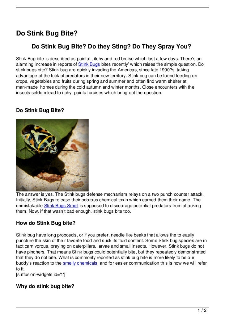 Do stink bug bite 