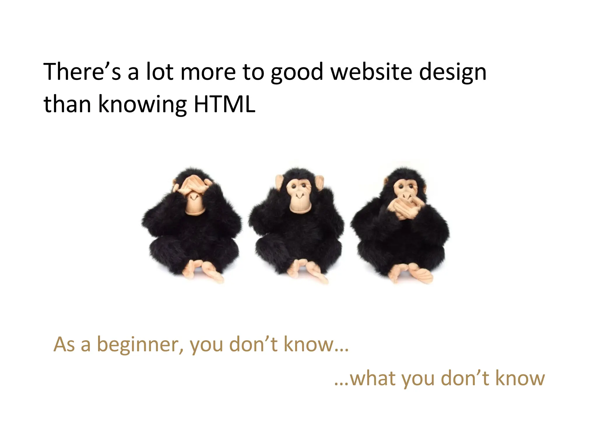 There’s a lot more to good website design than knowing HTML As a beginner, you don’t know… … what you don’t know 
