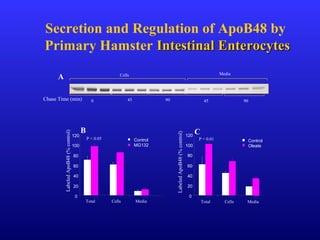 Secretion and Regulation of ApoB48 by
Primary Hamster Intestinal EnterocytesIntestinal Enterocytes
B C
LabeledApoB48(%control)
LabeledApoB48(%control)
0
20
40
60
80
100
120
Total Cells Media
Control
MG132
P < 0.05
0
20
40
60
80
100
120
Total Cells Media
Control
Oleate
P = 0.01
Cells Media
0 45 90 45 90
A
Chase Time (min)
 