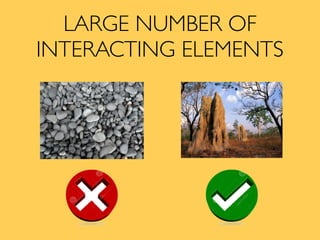 LARGE NUMBER OF
INTERACTING ELEMENTS
 