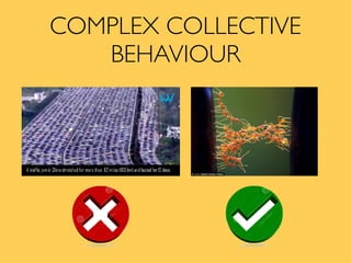 COMPLEX COLLECTIVE
BEHAVIOUR
 