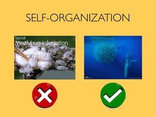 SELF-ORGANIZATION
 