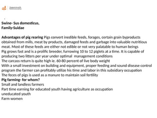 Animal husbandry Swine AG309 Jagannath University | PPTX