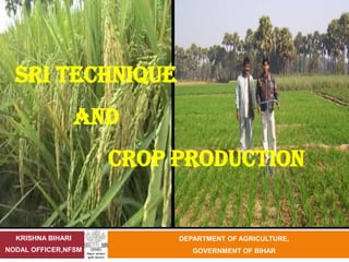 SRI TECHNIQUE
                   AND
                     CROP PRODUCTION


  KRISHNA BIHARI          DEPARTMENT OF AGRICULTURE,
NODAL OFFICER,NFSM           GOVERNMENT OF BIHAR
 