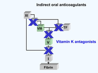 Fibrin
VIIVIII
IX
XI
II
V
X
I
TF
Indirect oral anticoagulants
Vitamin K antagonists
 