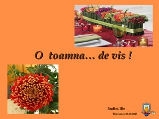 Rodica Ilie   Timisoara 30.09.2011 O  toamna… de vis ! 
