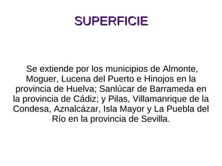 SUPERFICIE Se extiende por los municipios de Almonte, Moguer, Lucena del Puerto e Hinojos en la provincia de Huelva; Sanlúcar de Barrameda en la provincia de Cádiz; y Pilas, Villamanrique de la Condesa, Aznalcázar, Isla Mayor y La Puebla del Río en la provincia de Sevilla. 