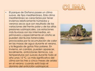 CLIMAEl parque de Doñana posee un clima suave, de tipo mediterráneo. Este clima mediterráneo se caracteriza por tener inviernos relativamente húmedos y veranos secos que son resultado de las variaciones del frente polar y de las altas presiones subtropicales. Las estaciones más lluviosas son las intermedias, en primavera y especialmente en otoño se pueden dar lluvias torrenciales provocadas por la acumulación de calor en las masas de agua durante el verano, y la llegada de gotas frías polares. En invierno, en cambio, pueden aparecer, localmente, anticiclones térmicos. Las temperaturas son suaves durante todo el año unos 15 °C. Lo más significativo del clima son los tres o cinco meses de aridez en el verano; cuando está bajo el dominio del anticiclón subtropical.