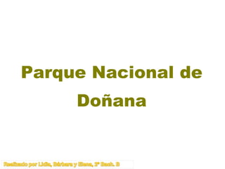 Parque Nacional de Doñana 