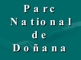 Parc National de Doñana 