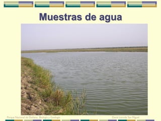 Muestras de agua




Parque Nacional de Doñana: Biología y Geología   David Leunda San Miguel
 