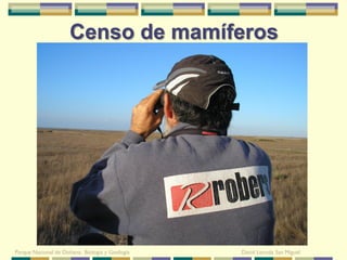 Censo de mamíferos




Parque Nacional de Doñana: Biología y Geología   David Leunda San Miguel
 