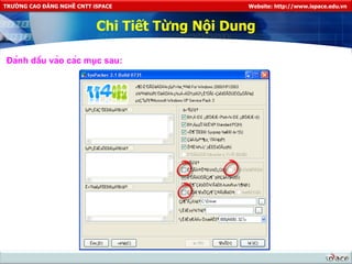 Chi Tiết Từng Nội Dung Đánh dấu vào các mục sau: 