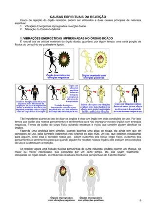 CAUSAS ESPIRITUAIS DA REJEIÇÃO
    Casos de rejeição do órgão recebido, podem ser atribuídos a duas causas principais de natureza
espiritual:
    1. Vibrações Energéticas impregnadas no órgão doado
    2. Alteração do Comando Mental


    1. VIBRAÇÕES ENERGÉTICAS IMPREGNADAS NO ÓRGÃO DOADO
     É natural que as células materiais do órgão doado, guardem, por algum tempo, uma certa porção de
fluidos do perispírito ao qual esteve ligado.




                         Órgão imantado com             Órgão imantado com
                          energias negativas             energias positivas




    Tão importante quanto ao ato de doar os órgãos é doar um órgão em boas condições de uso. Por isso
temos que cuidar dos nossos pensamentos e sentimentos para não impregnar nossos órgãos com energias
negativas. Temos de cuidar do corpo físico evitando excessos e vícios que também podem danificar os
órgãos.
    Fazendo uma analogia bem simples, quando doamos uma peça de roupa, ela ainda tem que ter
condições de uso, caso contrário estaremos nos livrando de algo inútil, um lixo, que estamos repassando
para alguém, onde está a caridade nesse ato. Assim cuidemos dos nosso corpo físico, cuidemos dos
pensamentos e sentimentos para que quando alguém for receber nossos órgãos eles estejam em condições
de uso e ou diminuam a rejeição.

     Ao receber agora uma fixação fluídica perispirítica de outra natureza, poderá ocorrer um choque, de
maior ou menor intensidade, que perdurará por um certo tempo, até que sejam totalmente
dissipadas do órgão doado, as influências residuais dos fluidos perispirituais do Espírito doador.




                             Órgãos impregnados       Órgãos impregnados
                           com vibrações negativas   com vibrações positivas                          6
 