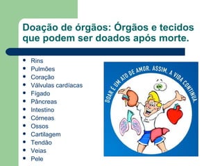 Doação de órgãos: Órgãos e tecidos
que podem ser doados após morte.
Rins
Pulmões
Coração
Válvulas cardíacas
Fígado
Pâncreas
Intestino
Córneas
Ossos
Cartilagem
Tendão
Veias
Pele