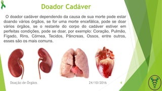 Doador Cadáver
24/10/2016Doação de Órgãos 4
O doador cadáver dependendo da causa de sua morte pode estar
doando vários órgãos, se for uma morte encefálica, pode se doar
vários órgãos, se o restante do corpo do cadáver estiver em
perfeitas condições, pode se doar, por exemplo: Coração, Pulmão,
Fígado, Rins, Córnea, Tecidos, Pâncreas, Ossos, entre outros,
esses são os mais comuns.
 