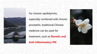 PPT模板 http://www.1ppt.com/moban/
For chronic epididymitis,
especially combined with chronic
prostatitis, traditional Chinese
medicine can be used for
treatment, such as Diuretic and
Anti-inflammatory Pill.
 