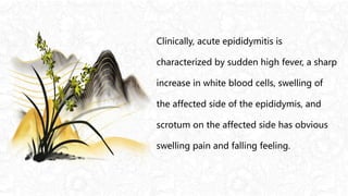 Clinically, acute epididymitis is
characterized by sudden high fever, a sharp
increase in white blood cells, swelling of
the affected side of the epididymis, and
scrotum on the affected side has obvious
swelling pain and falling feeling.
 