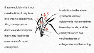 古
诗
词
教
育
古
诗
词
教
育
古
诗
词
教
育
If acute epididymitis is not
cured in time, it may turn
into chronic epididymitis.
Also, some prostate
diseases and epididymis
injury may lead to the
occurrence of chronic
epididymitis.
In addition to the above
symptoms, chronic
epididymitis may sometimes
have a hydrocele, and the
epididymis often has
varying degrees of
enlargement and hardening.
 