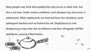 Most people may think that epididymitis only occurs in adult men, but
this is not true. Under certain conditions, such diseases may also occur in
adolescents. When adolescents are tired and have low resistance, some
pathogenic bacteria such as Escherichia coli, Staphylococcus and
Streptococcus may enter the vas deferens and then retrograde into the
epididymis, causing inflammation.
 