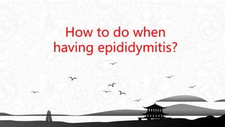 How to do when
having epididymitis?
 