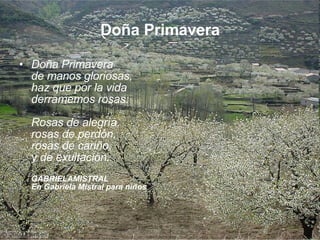 Doña Primavera Doña Primavera de manos gloriosas, haz que por la vida derramemos rosas: Rosas de alegría, rosas de perdón, rosas de cariño, y de exultación. GABRIELAMISTRAL En Gabriela Mistral para niños
